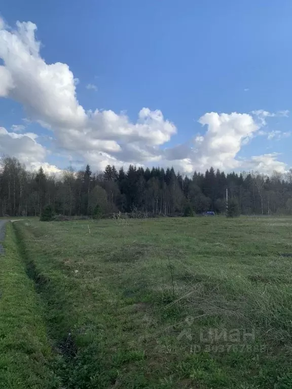 Участок в Московская область, Можайский городской округ, Собственников ... - Фото 0