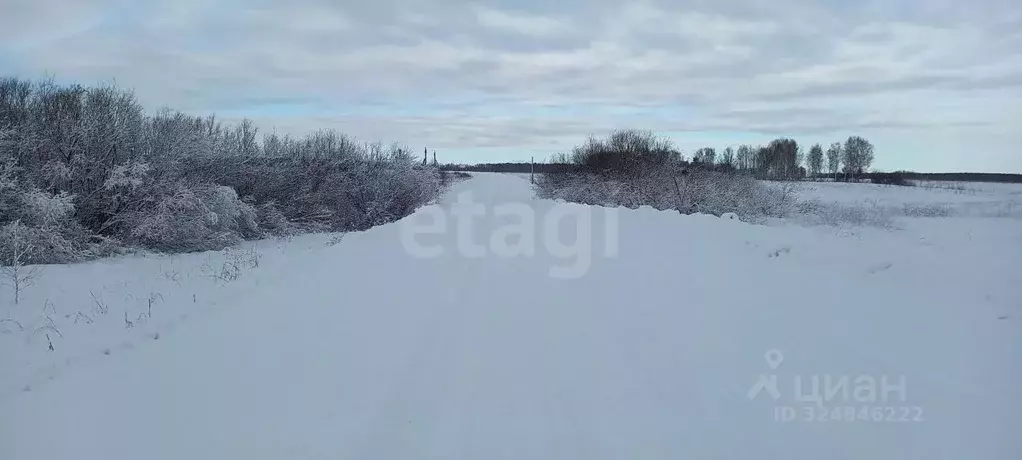 Участок в Новосибирская область, Мошковский район, с. Томилово  (99.91 ... - Фото 1