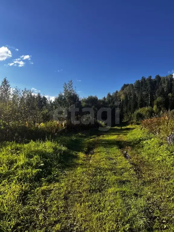 Участок в Алтай, Турочакский район, с. Артыбаш ул. Глухариная, 6 (9.9 ... - Фото 1