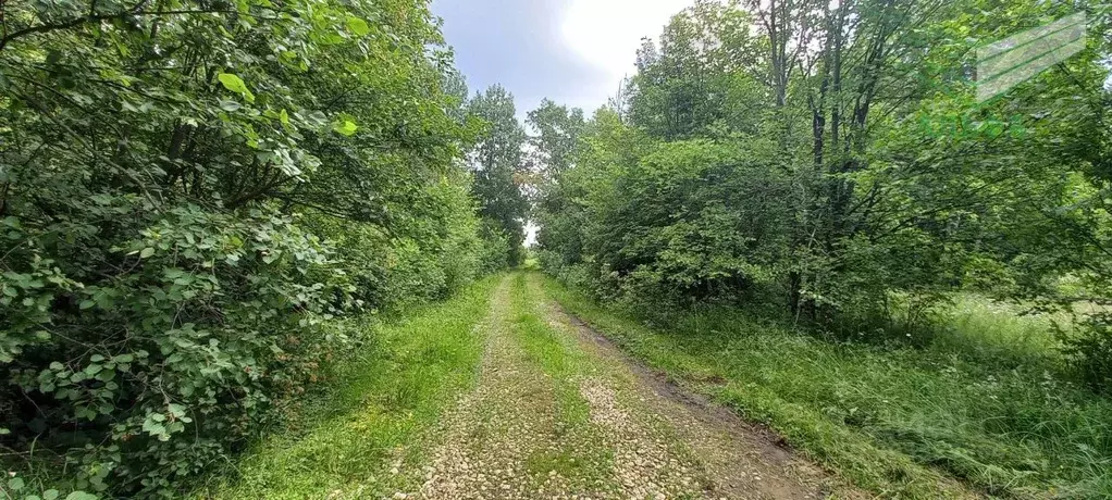 Участок в Липецкая область, Задонский район, Верхнестуденецкий ... - Фото 1