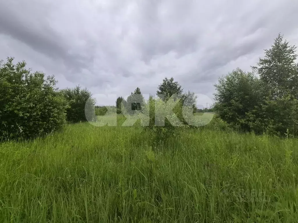 Участок в Московская область, Воскресенск городской округ, д. ... - Фото 2