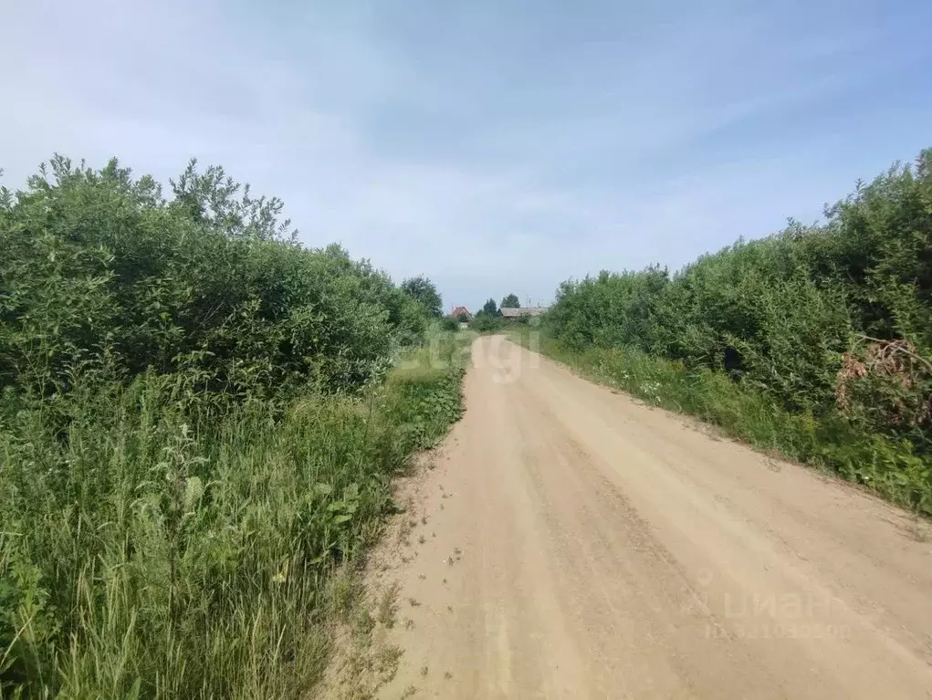 Участок в Свердловская область, Тугулым пгт ул. Осенняя (16.83 сот.) - Фото 1