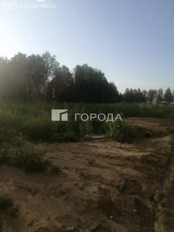 Участок в село Фирсово, улица Ивана Мичурина, 14 (8 м) - Фото 2