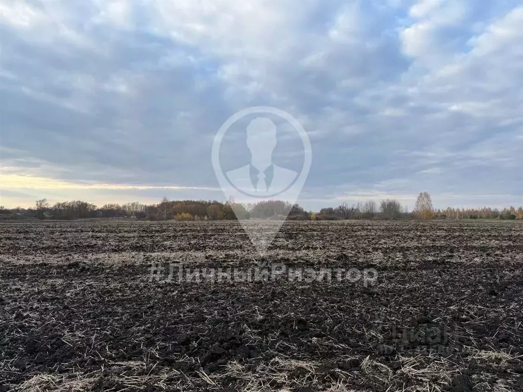 Участок в Рязанская область, Рязань Почтовая ул. (2341.0 сот.) - Фото 0