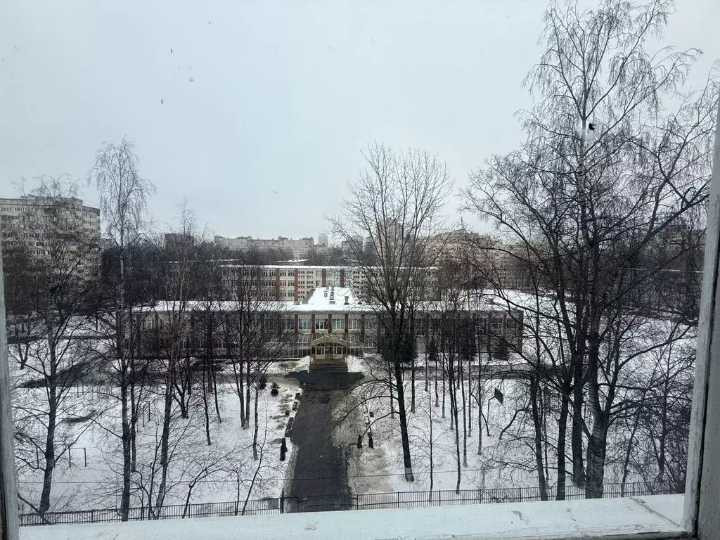 Комната Санкт-Петербург ул. Ольги Форш, 17К1 (11.7 м) - Фото 2