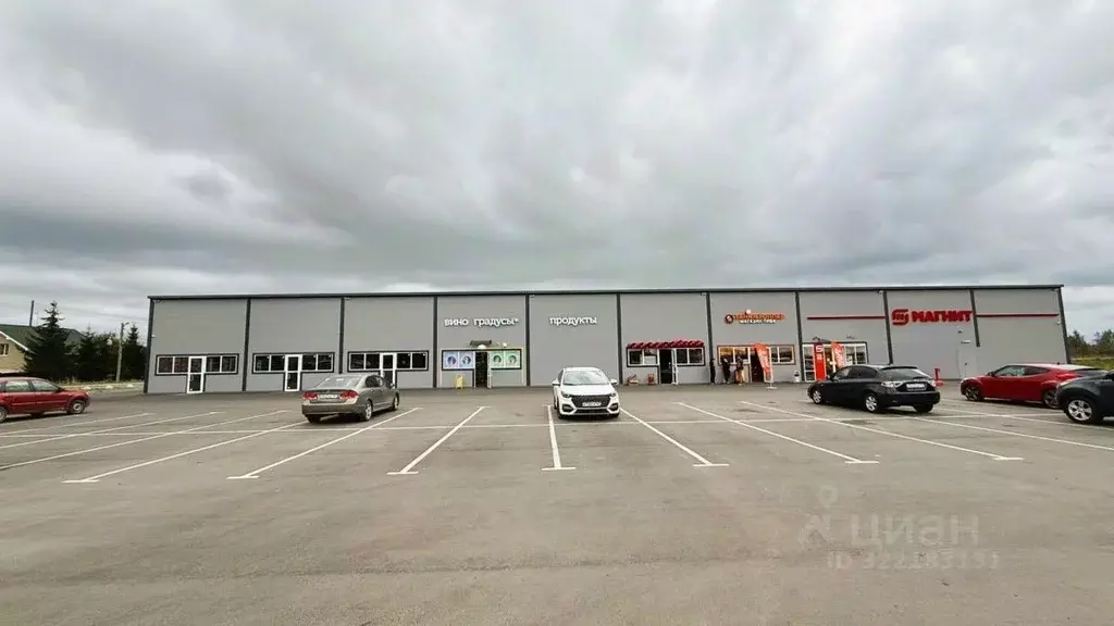 Помещение свободного назначения в Ленинградская область, Всеволожский ... - Фото 1