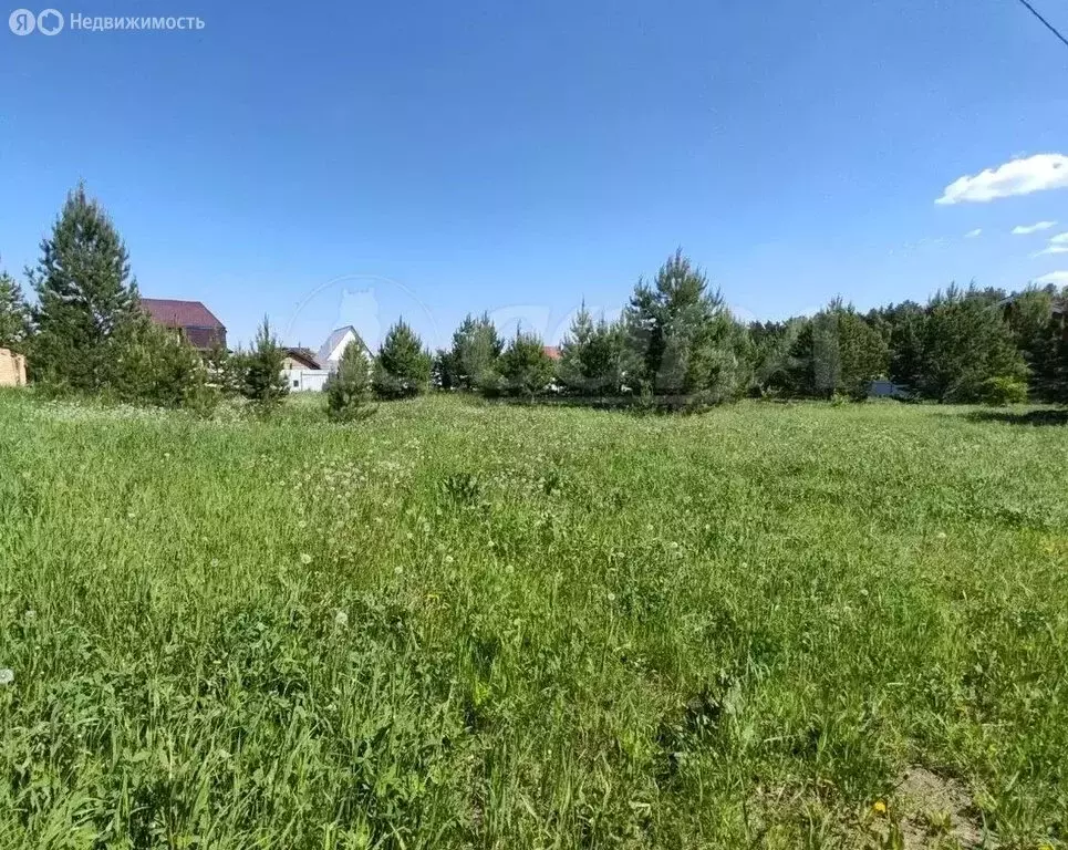 Участок в Тюменский район, деревня Дударева (12 м) - Фото 1