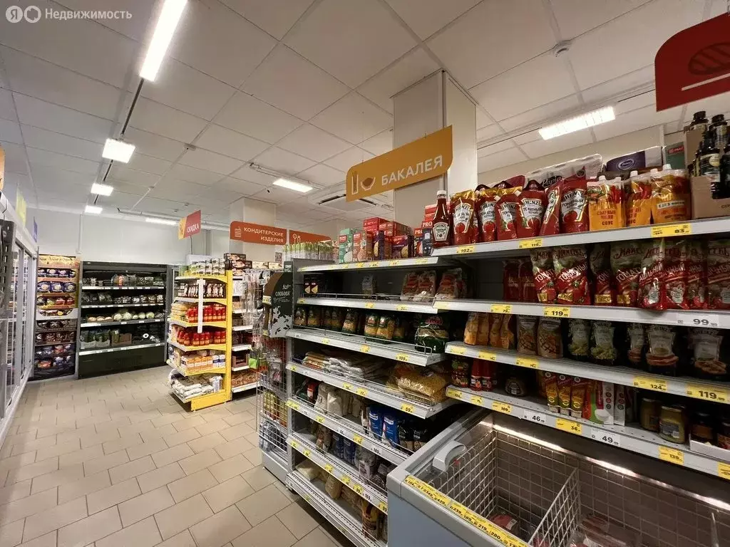 Помещение свободного назначения (278 м) - Фото 1