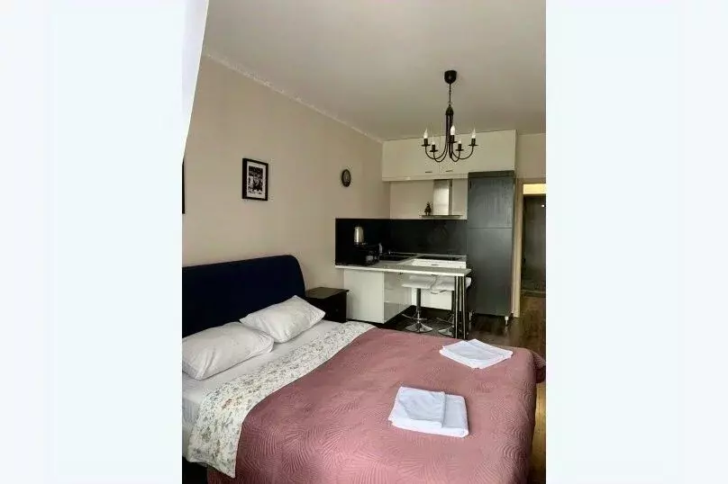 1-к кв. Санкт-Петербург Пулковское ш., 14Г (26.0 м) - Фото 0