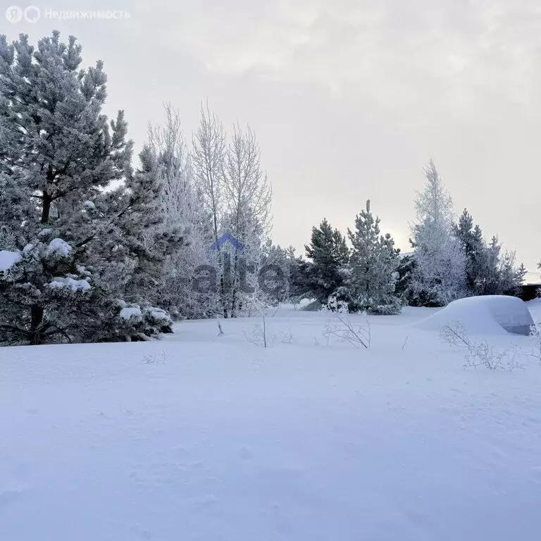 Участок в Верхнеуслонский район, Набережно-Морквашское сельское ... - Фото 1
