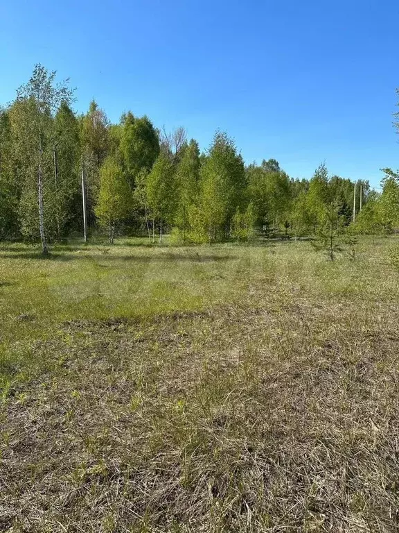 Участок 11 сот. (СНТ, ДНП) - Фото 0