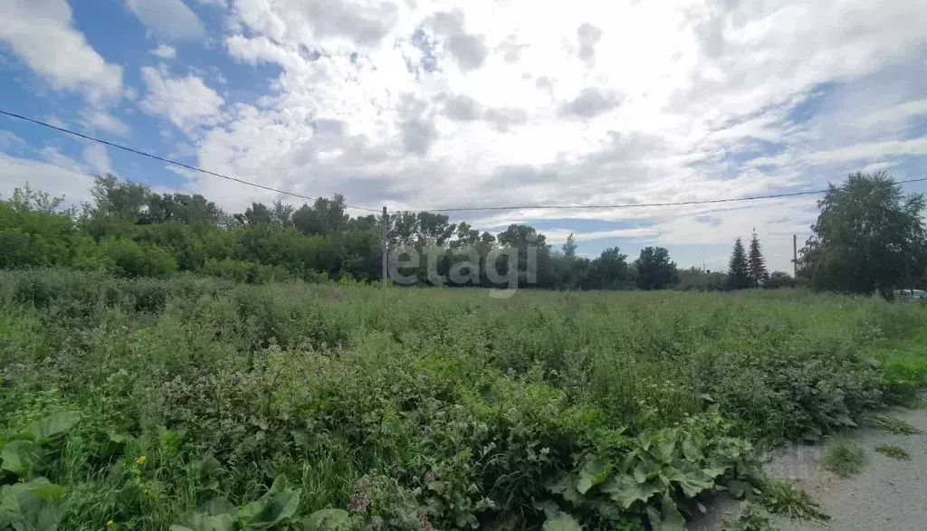 Участок в Кемеровская область, Кемерово Гравийная ул. (9.7 сот.) - Фото 0