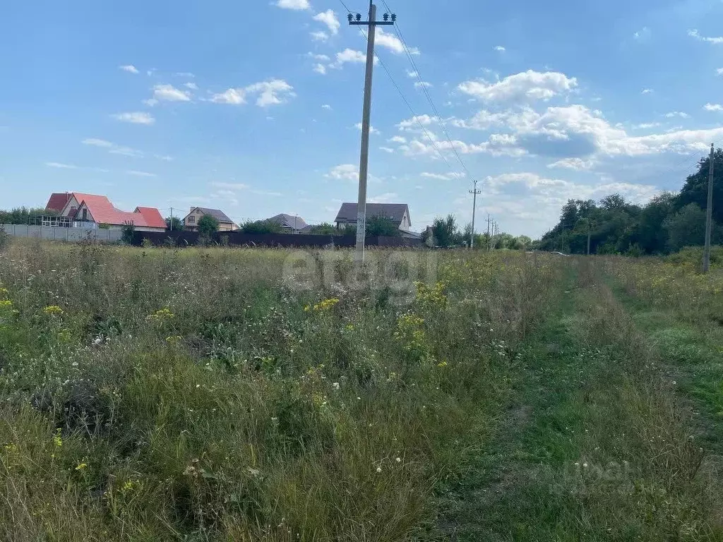 Участок в Белгородская область, Белгородский район, Беломестненское ... - Фото 1