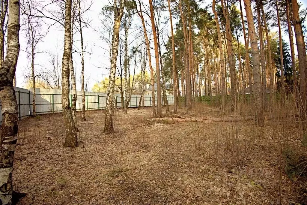 Участок в Московская область, Одинцовский городской округ, д. Бородки ... - Фото 2