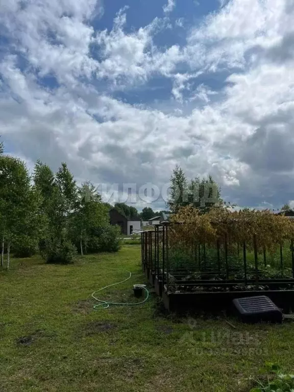 Участок в Новосибирская область, Мошковский район, пос. Октябрьский ... - Фото 2