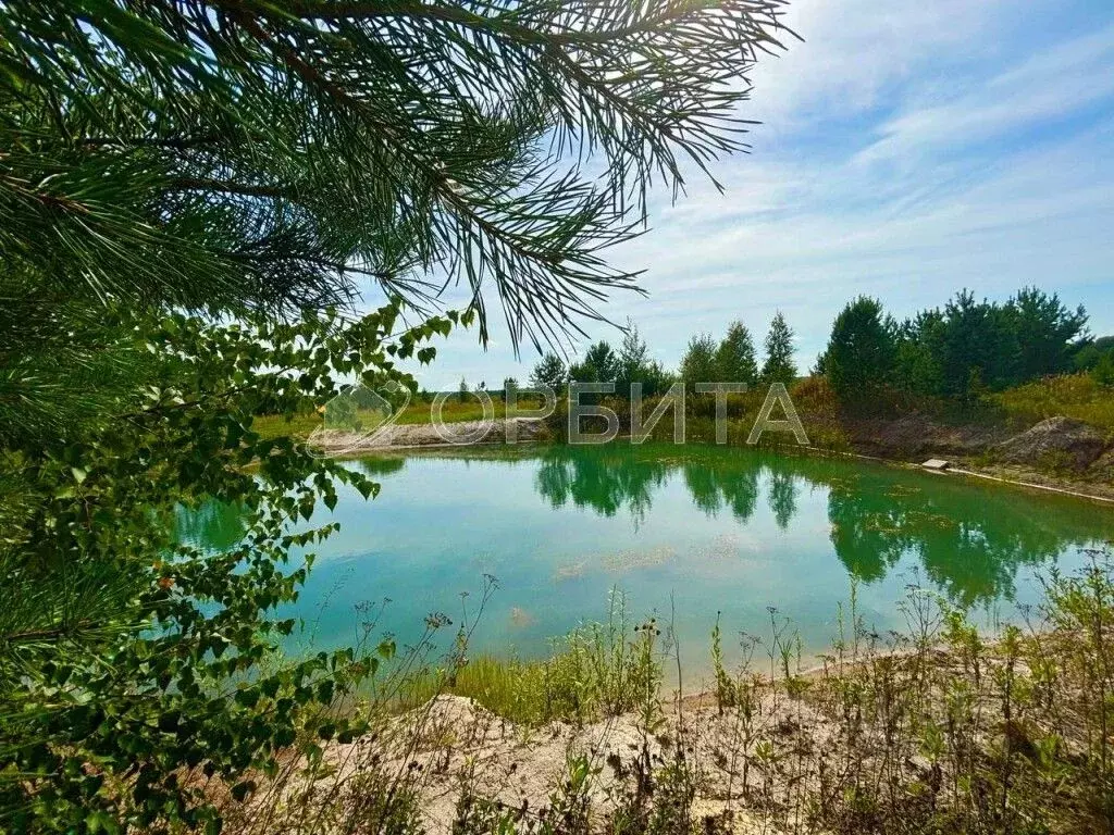 Участок в Тюменская область, Тюменский район, Новокаменский кп  (17.0 ... - Фото 2