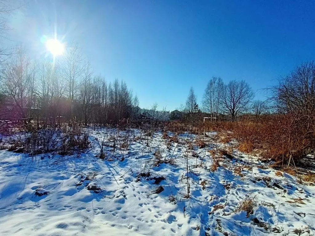 Участок в Владимирская область, Судогодский район, Вяткинское ... - Фото 0