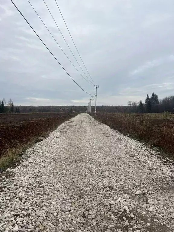 Участок в Пермский край, пос. Протасы ул. Никольская (9.0 сот.) - Фото 1