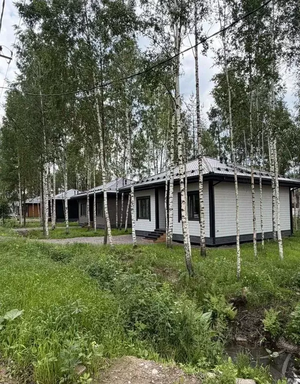 Дом в Ленинградская область, Всеволожское городское поселение, СОСН ... - Фото 1
