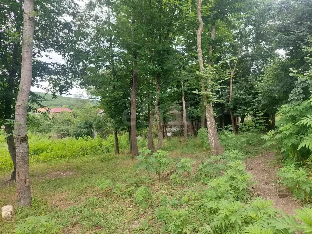 Участок в Краснодарский край, Геленджик Голубая Бухта мкр,  (43.0 ... - Фото 1