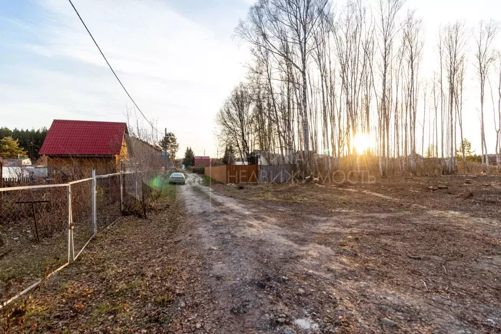 Участок в Тюменская область, Тюменский район, Искатель садовое ... - Фото 1