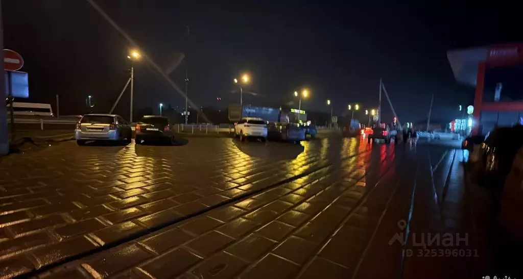 Торговая площадь в Московская область, Домодедово городской округ, с. ... - Фото 2