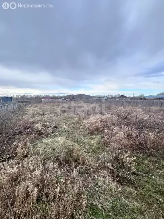 Участок в Новотроицкий сельсовет, деревня Быстрая, Крестьянская улица ... - Фото 1
