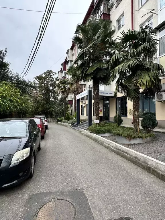 Помещение свободного назначения в Краснодарский край, Сочи Новый Сочи ... - Фото 1