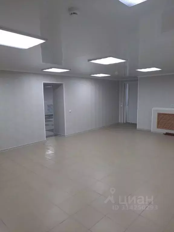 Помещение свободного назначения в Татарстан, Казань ул. Восстания, 21 ... - Фото 1