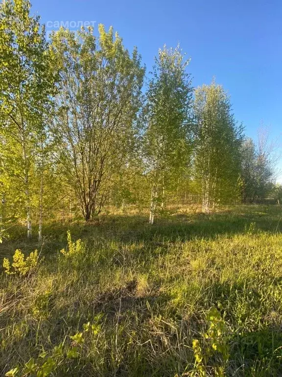 Участок в Марий Эл, Йошкар-Ола городской округ, д. Шоя-Кузнецово ул. ... - Фото 1