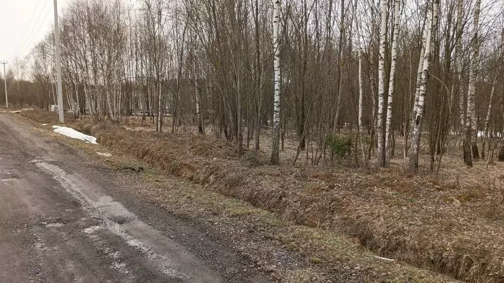 Участок в Московская область, Чехов муниципальный округ, д. Большое ... - Фото 1
