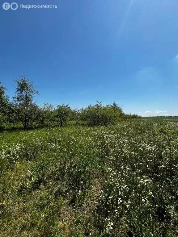 Участок в станица Ессентукская, Ручейная улица, 36 (600 м) - Фото 0