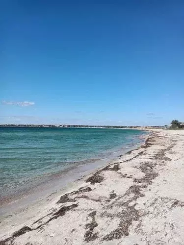 Участок в Крым, Черноморский район, с. Межводное ул. Керченская (10.0 ... - Фото 0