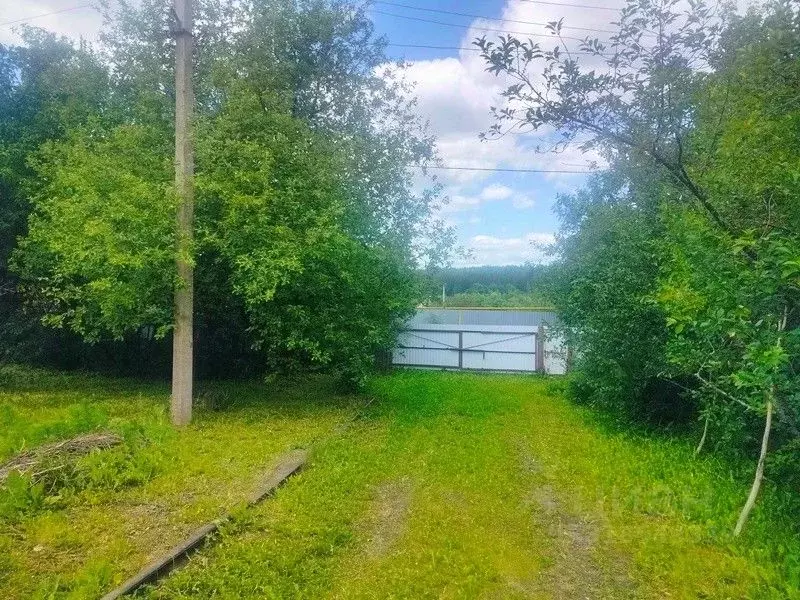 Дом в Пензенская область, Бессоновский район, с. Бакшеевка ул. 1-я ... - Фото 1