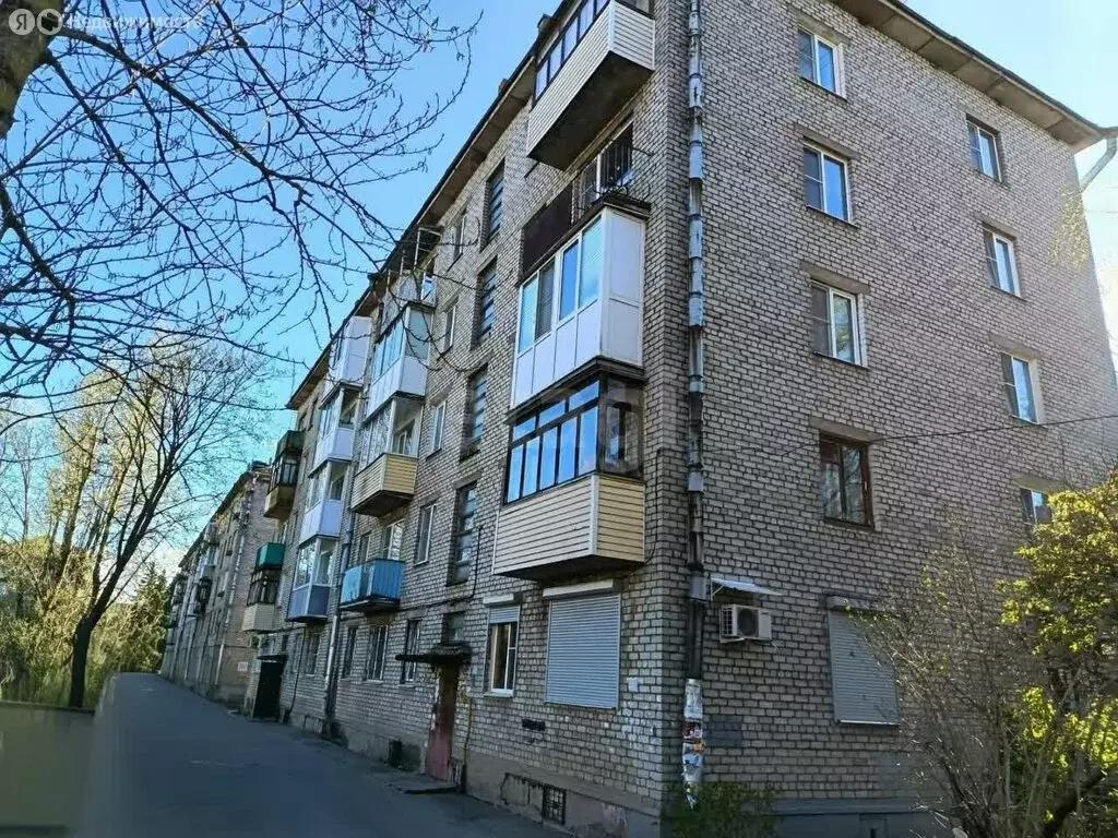 1-комнатная квартира: Волхов, Молодёжная улица, 19 (31 м) - Фото 2