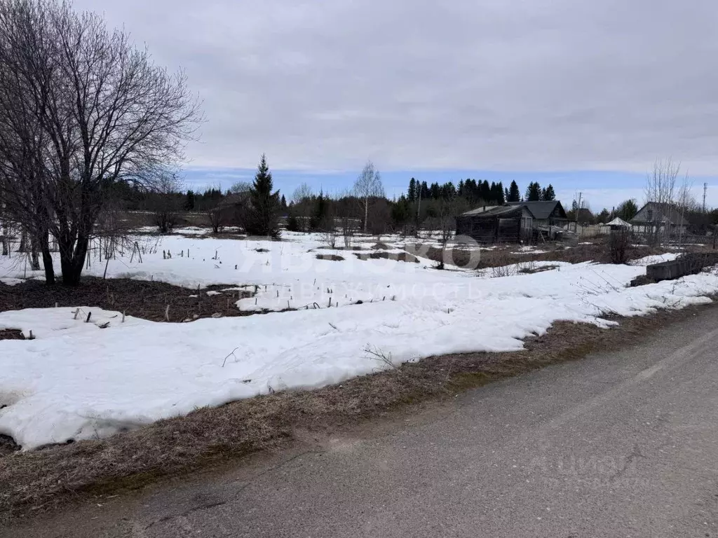 Участок в Пермский край, Березники муниципальный округ, д. Белая Пашня ... - Фото 2