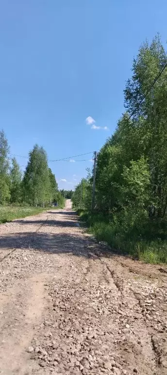 Участок в Нижегородская область, Кстовский муниципальный округ, д. ... - Фото 1