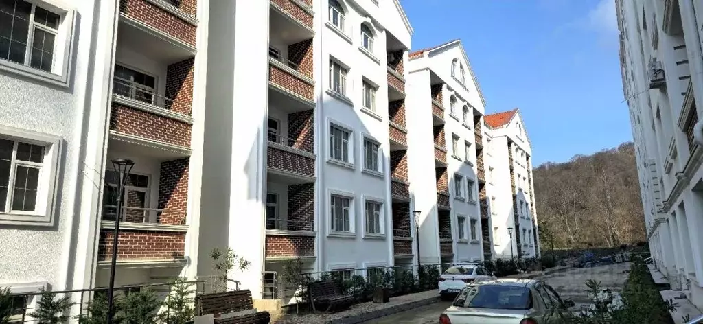 Студия Краснодарский край, Сочи ул. Ленина, 290/7к9 (29.5 м) - Фото 0