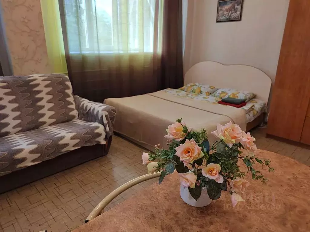 Студия Омская область, Омск просп. Мира, 9/2 (24.0 м) - Фото 1