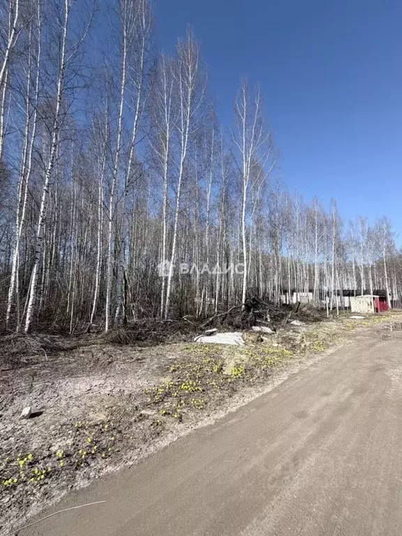 Участок в Нижегородская область, Нижний Новгород д. Черемисское, ... - Фото 1