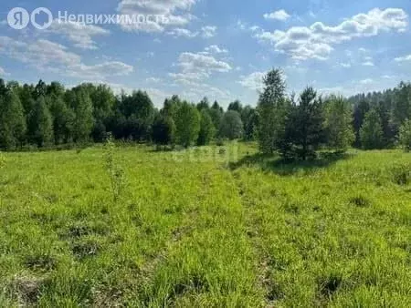 Участок в Краснокамский городской округ, деревня Мошни (350 м) - Фото 0