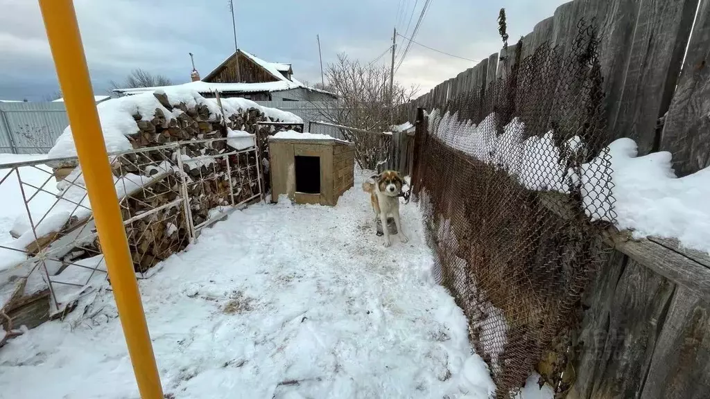 Дом в Свердловская область, Малышева пгт ул. Строителей, 33 (60 м) - Фото 1