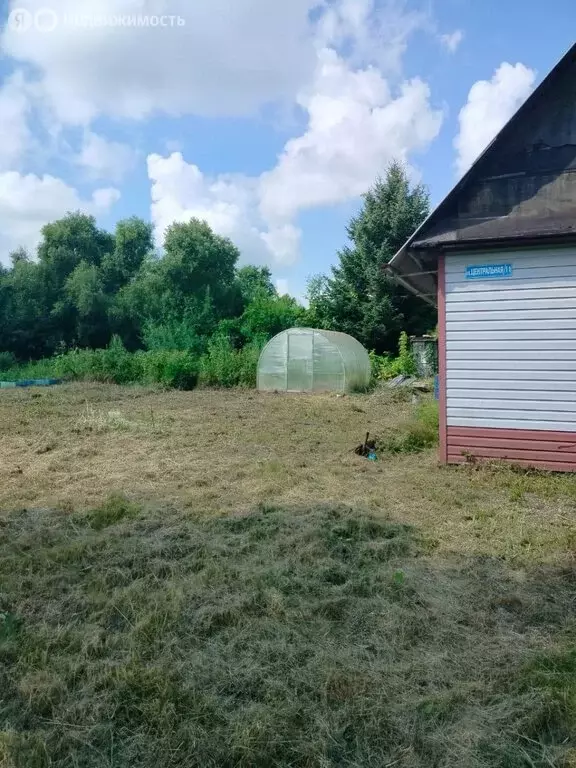 Участок в Еврейская автономная область, посёлок Смидович (9 м) - Фото 1