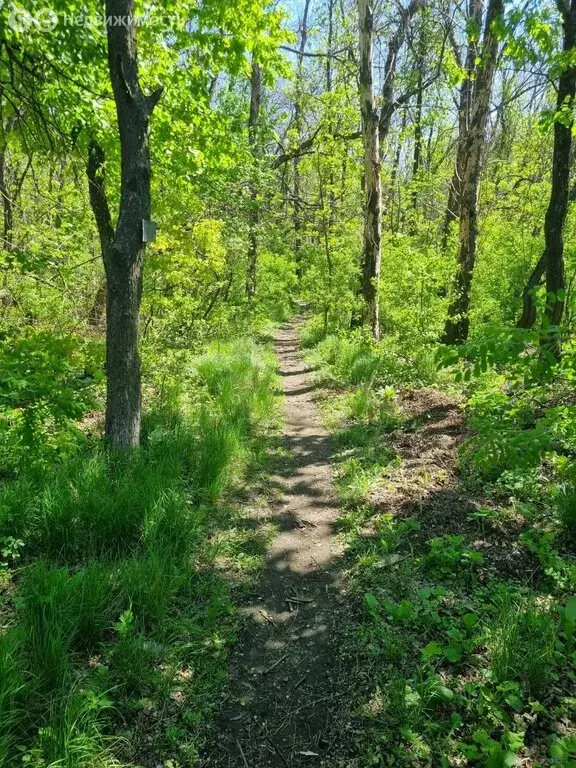 Участок в Саратов, СНТ Водник-67 (10 м) - Фото 1