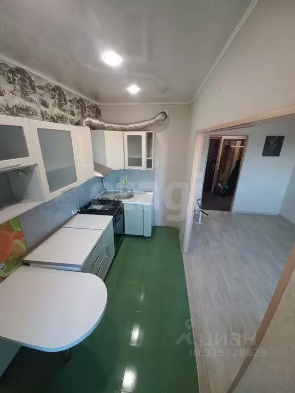 Студия Псковская область, Псковский район, Завеличенская волость, д. ... - Фото 1