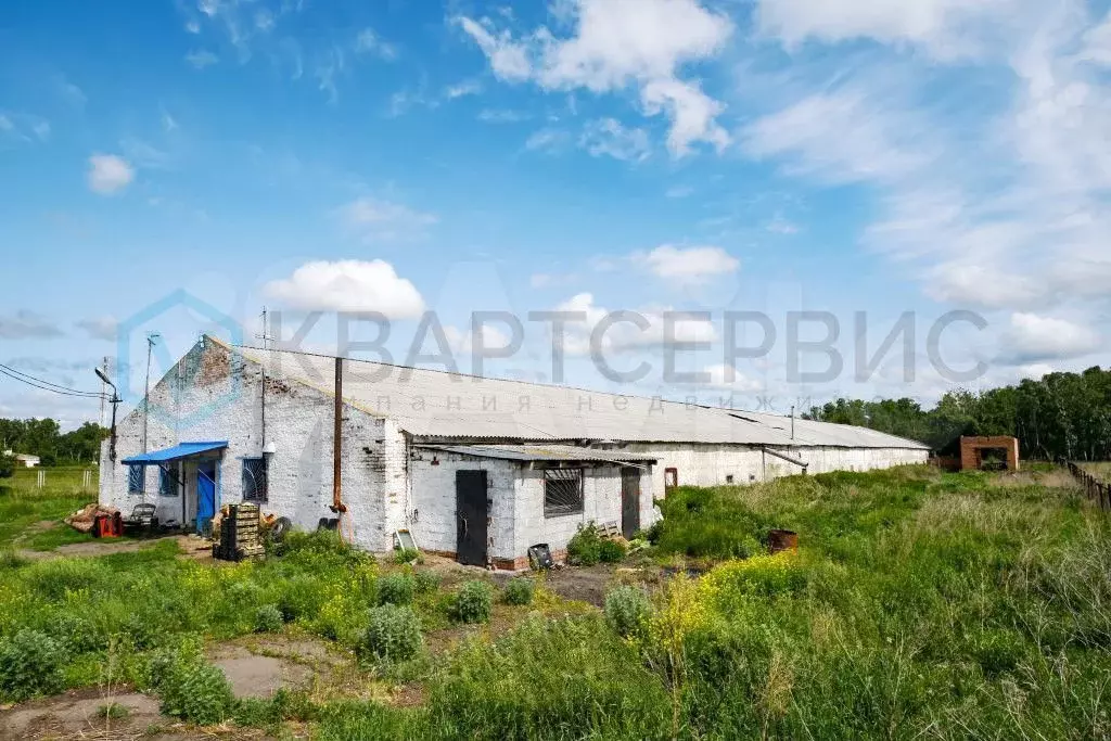Продам производственное помещение, 1625 м - Фото 0