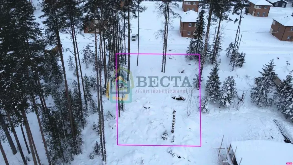 Участок в Ленинградская область, Всеволожский район, Токсовское ... - Фото 2