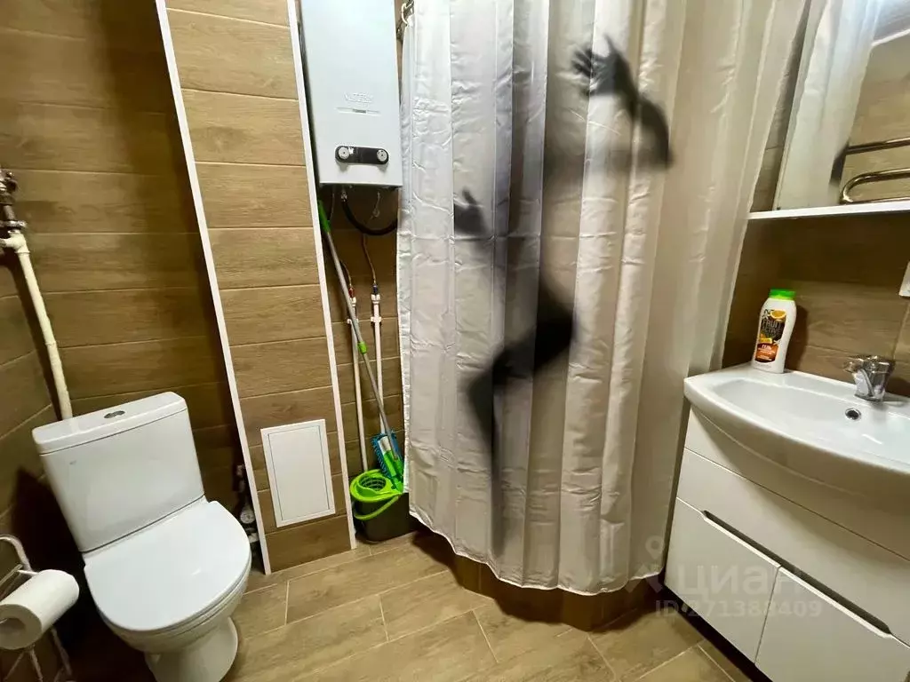 1-к кв. Ленинградская область, Выборг Ленинградский просп., 4 (30.0 м) - Фото 2