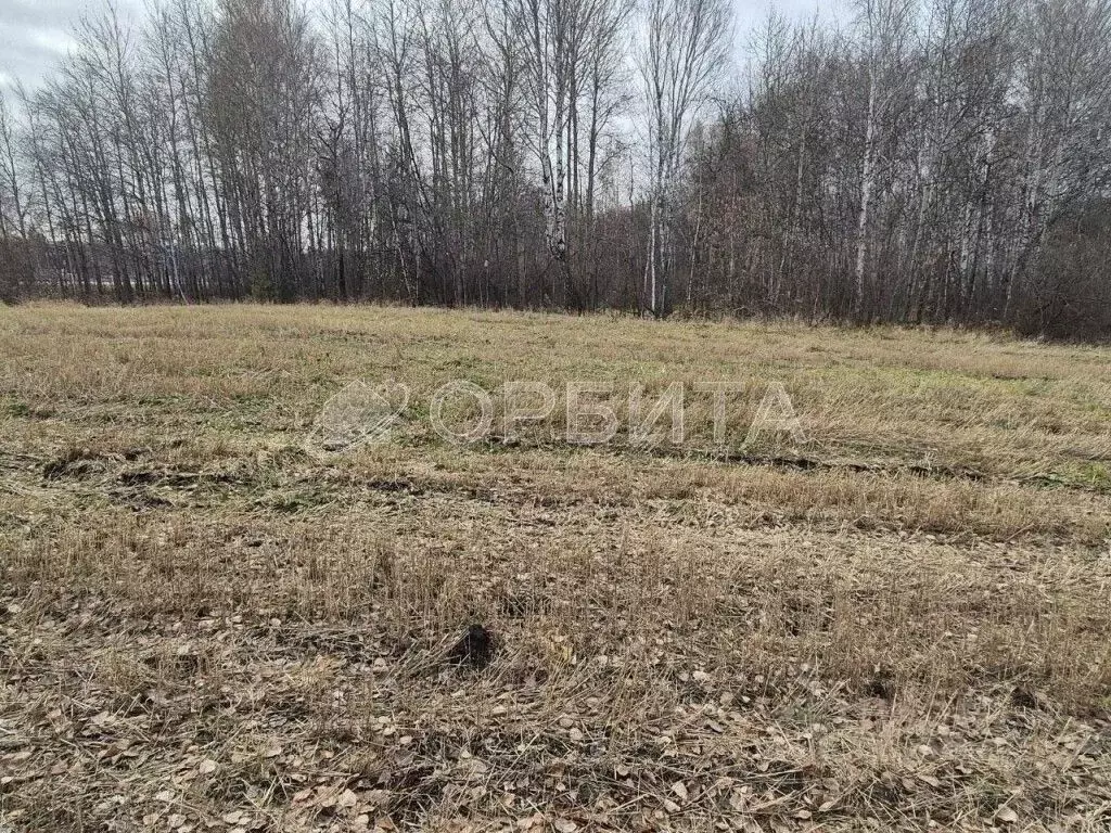 Участок в Тюменская область, Тюмень СОСН Плодовое тер., ул. Березовая ... - Фото 2