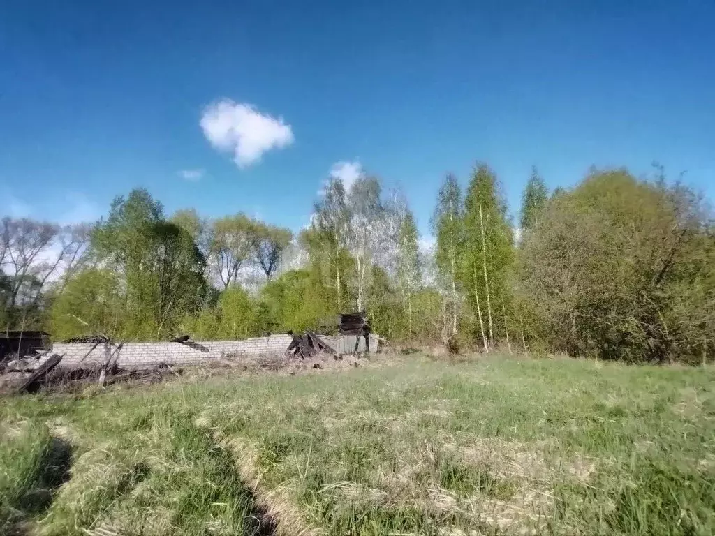 Участок в Брянская область, Брянск ул. Парк Е (6.0 сот.) - Фото 1